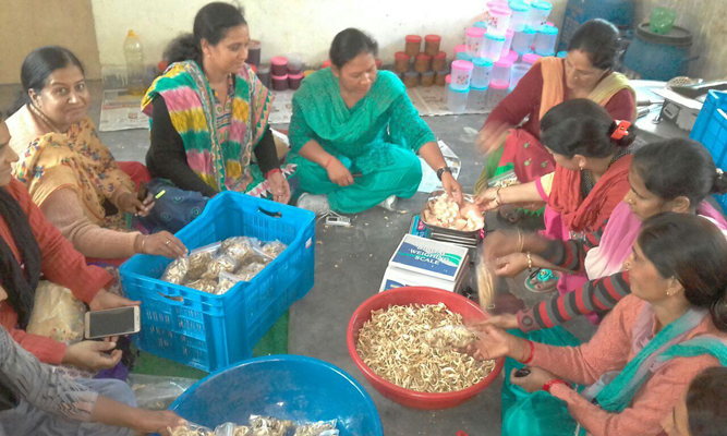 Women empowerment